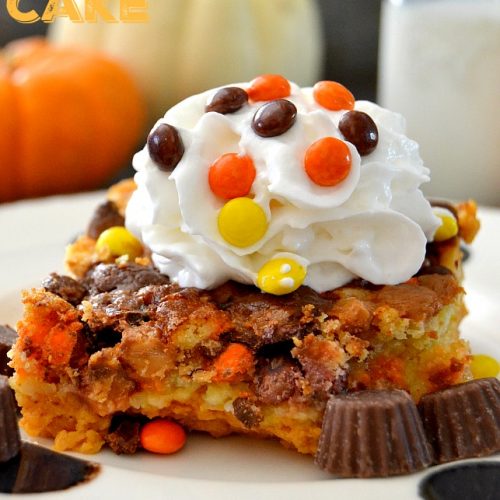 PEANUT-BUTTER-CUP-PUMPKIN-PIE-CAKE-2-500x500